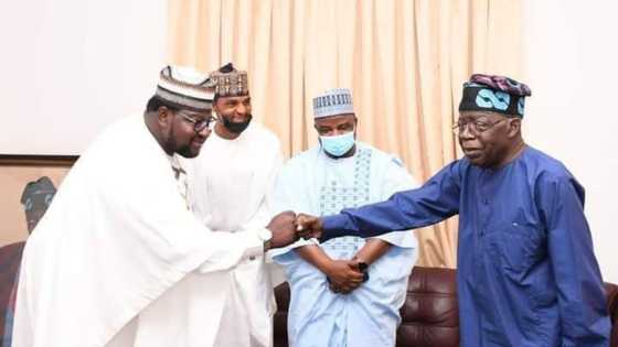 BREAKING: Northern business mogul signs N100m cheque for Tinubu's presidential form