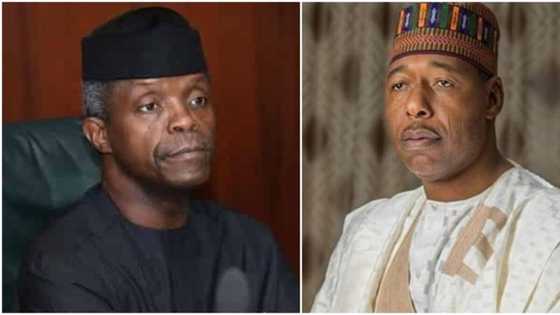 Why Osinbajo should become president in 2023 - Group