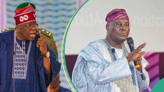 Presidency blasts Atiku for linking Tinubu’s son link to Lagos-Calabar coastal highway