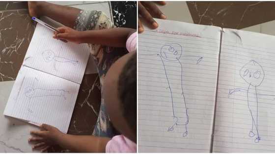 Future artist: Reactions as boy makes many laugh after drawing himself and sister on paper
