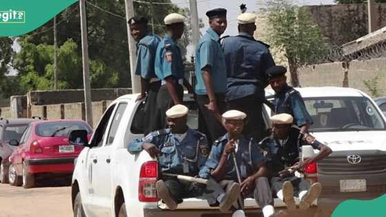 Yaki da badala: Hisbah ta lalata barasar makudan kudi a jihar Yobe