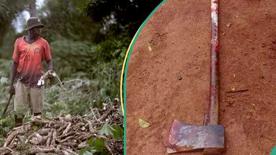 Anambra: Neighbours of man who killed his mother shares details about his behaviour
