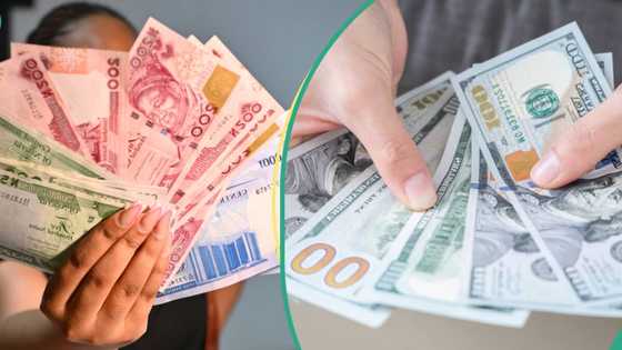 Naira under pressure: Fresh volatility hits FX market despite CBN interventions