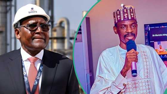 Buhari’s ex-aide mentions alleged reason Dangote reduced petrol price by N65