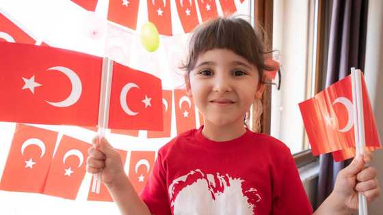 Turkey announces work visas for foreigners in tourism and academic