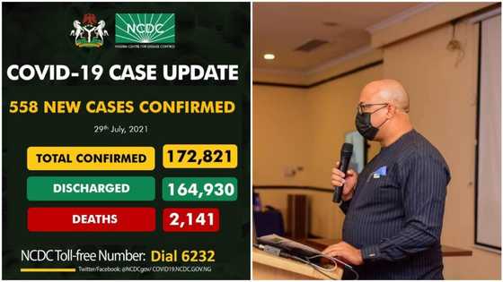 List of affected states as COVID-19 spike continues in Nigeria, 558 new cases confirmed, 2 deaths recorded