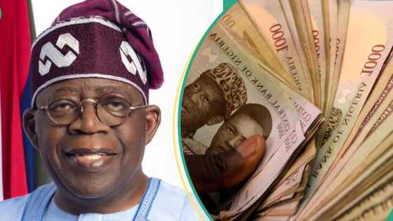 How it will be disbursed: Over 283k Lagos residents to receive N25k each from Tinubu's govt