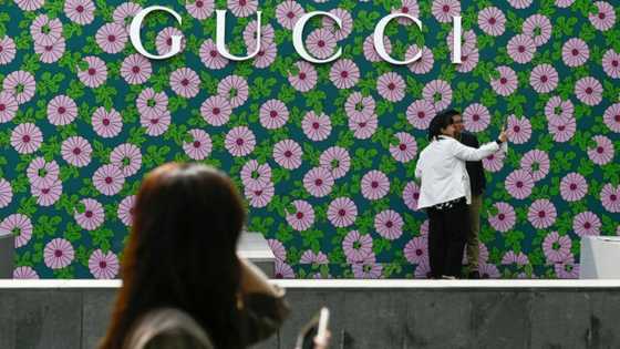 Gucci owner Kering says profit fell 17% in 2023