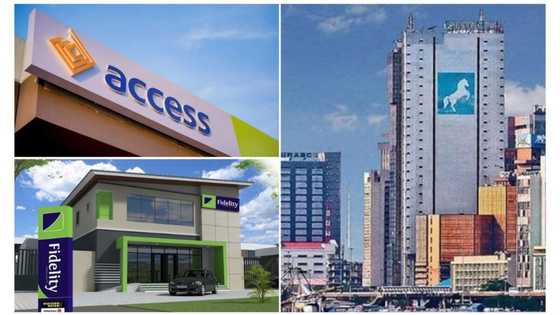 Access, Fidelity banks lead Nigerian banks in acquiring other Banks in Africa
