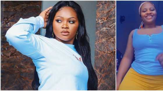"So she has worked on her body": BBNaija's Tega rocks skintight shorts, whines tiny waist like snake in video