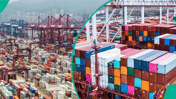 Tinubu to commission Nigeria’s largest container terminal in Onne, businesses set to relocate