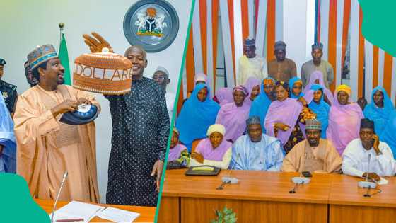 Siyasar Kano ta rikice: Kusoshin NNPP sun watsar da Kwankwaso, sun kama layin APC