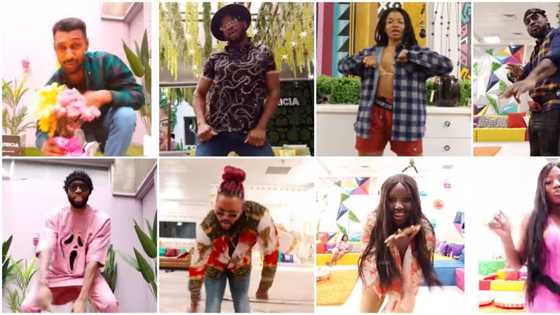 Fans hail Cross, Yousef, and Whitemoney as housemates finally get the chance to make viral TikTok videos