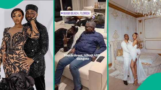 Video as Dangote arrives Miami for Davido's wedding, 72 hours after attending Otedola’s in Iceland