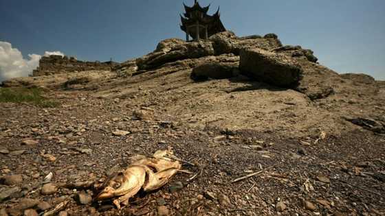China warns of 'severe threat' to harvest from worst heatwave on record