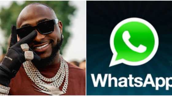 Hallelujah: Davido reacts to the latest updates WhatsApp is set to release