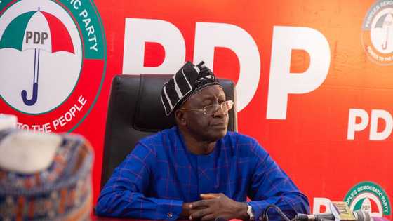 Identities of 2 disqualified PDP presidential aspirants finally revealed as appeal panel takes decision