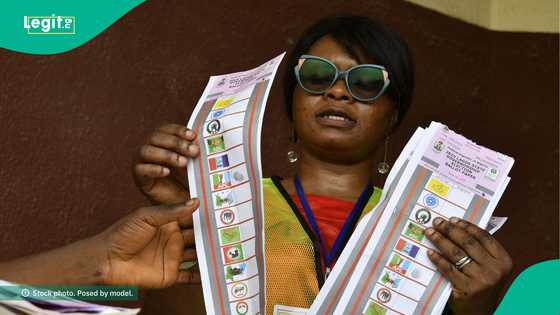 Breaking: Winners finally emerge in Kano bye-elections