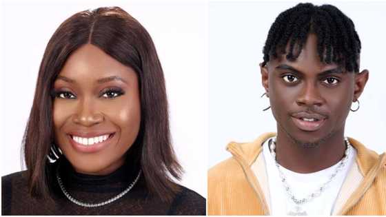 BBNaija Level Up: "Na so e dey start" - Reactions as Daniella says she likes Bryan despite his attitude to her