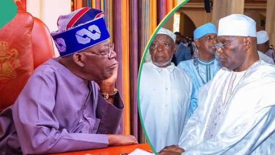 Tsadar rayuwa: Gwamnatin Tinubu ta jawo 'yan Najeriya na mutuwa saboda yunwa, in ji hadimin Atiku