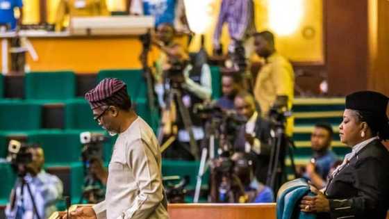 Electoral Act: Nigerian senator reveals why Gbajabiamila introduced mandatory direct primary