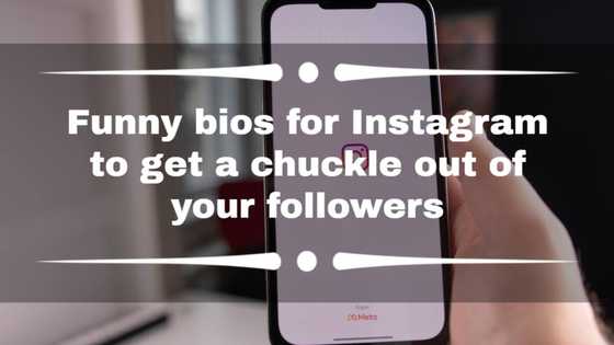 100+ funny bios for Instagram to get a chuckle out of your followers