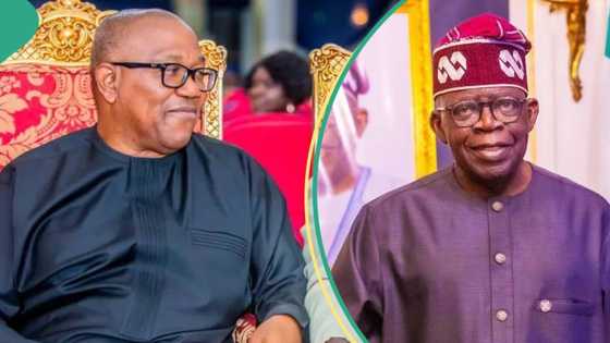 “I'm desperate to see Nigeria work”: Peter Obi speaks on dumping LP, contesting against Tinubu in 2027