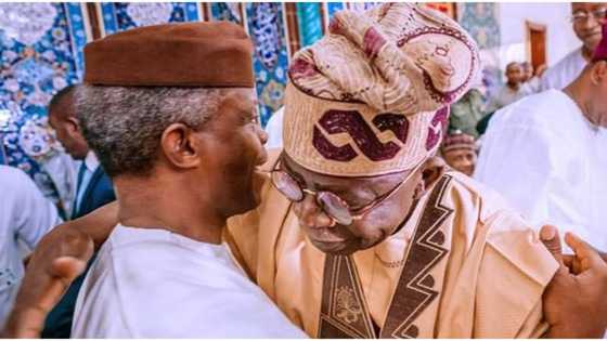 Tinubu wins in Osinbajo’s polling unit, details emerge