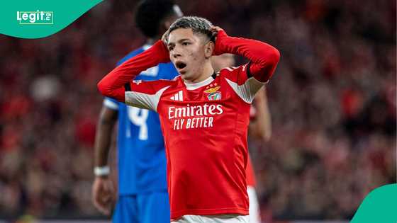 UEFA suspends Benfica's Gianluca Prestianni amid racial abuse allegations