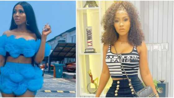 Who english help? Nigerians react as BBNaija's Mercy replies lady who made fun of her grammar in a video