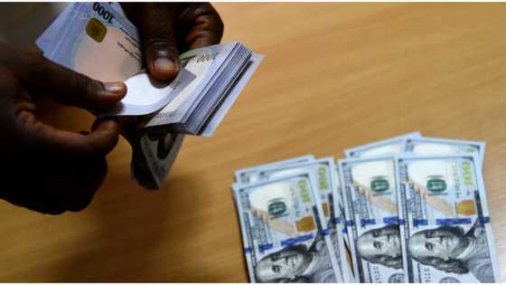 Naira depreciates to N840 per dollar at official market, trades lower in black market