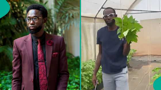 Man who dropped out of 3 universities and wanted to study medicine becomes farmer, shares story