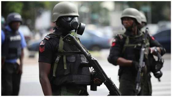 Bandit who led Sunday’s attack along Abuja-Kaduna expressway shot dead