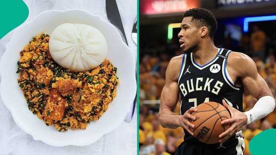 Giannis Antetokounmpo picks fufu and egusi soup as his favourite Nigerian meal