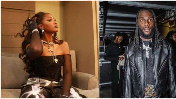 "I love him, he's mad and so am I": Old videos of Tems gushing over Burna Boy resurfaces, talks collaboration