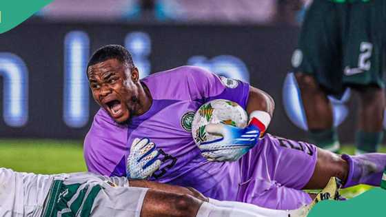 AFCON 2023: Super Eagles goalkeeper Stanley Nwabali gives update on injury status