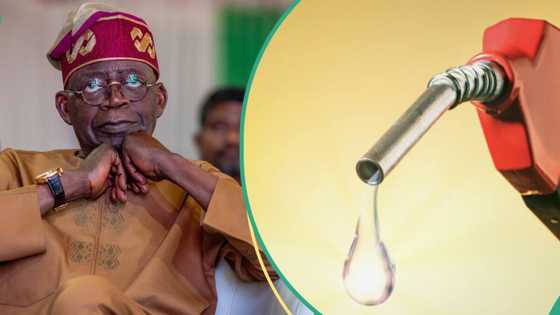 N770/litre: Nigeria emerges among top 10 countries with lowest fuel price in the world