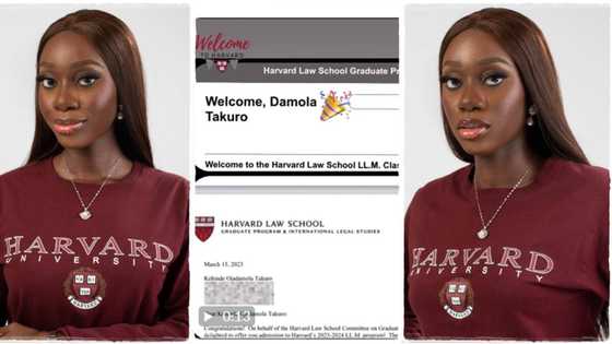 Nigerian lady gets admitted to Harvard Law School class of 2024, set to study for her master's degree in USA