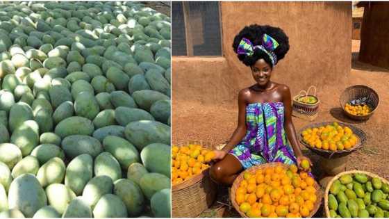 Stunning photo of African lady posing with mangoes get men drooling as many want to meet her
