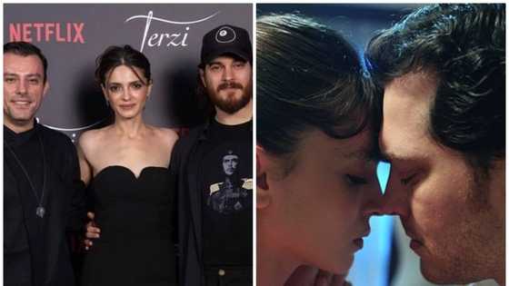 Le Tailleur saison 3 (Netflix) : tout savoir sur la série avant de reprendre !
