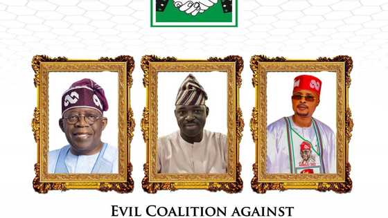 Strong statement against evil coalition targeting Hon Leke Abejide Joseph, President Tinubu