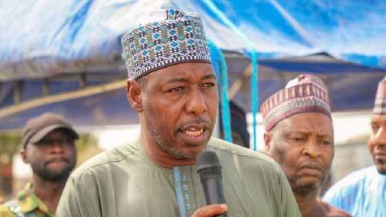 Zulum Ya Gwangwaje Tubabbun 'Yan Daba 152 Da Naira Miliyan 100 a Borno