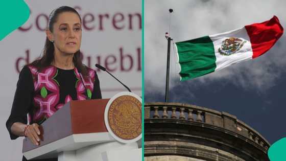 Mexico publishes 6 requirements foreigners must meet to become citizens