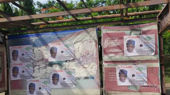 JUST IN: 2023 takes shape as Tinubu's presidential posters flood Abuja major roads