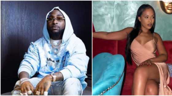 "Chef Chi is working": Reactions as Davido reportedly unfollows 2nd baby mama, Hailey's mum Amanda