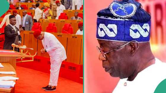 Breaking: Senate approves new minister for Tinubu, details emerge