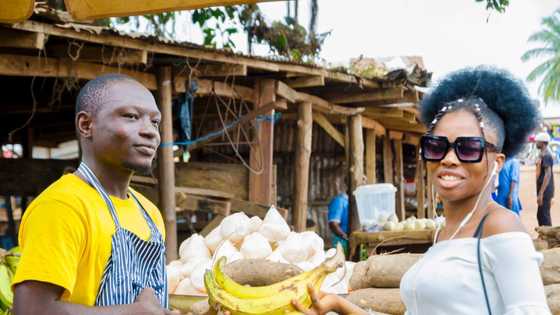 Obelix counts success after 100 days, as 3 SMEs raise 100 million from its retail investor community