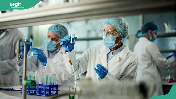 Medical laboratory scientist salary in Nigeria by roles and experience