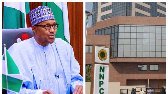 Shugaban kasa Buhari ya na yunkurin kashe kamfanin NNPC da Hukumar PPPRA