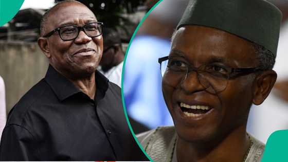 2027 presidency? Peter Obi to form alliance with El-Rufai? Ex-Kaduna Gov's son reacts